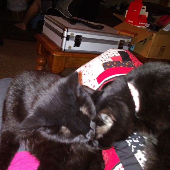 Meet your Posher, Heather - Picture 2 of 3